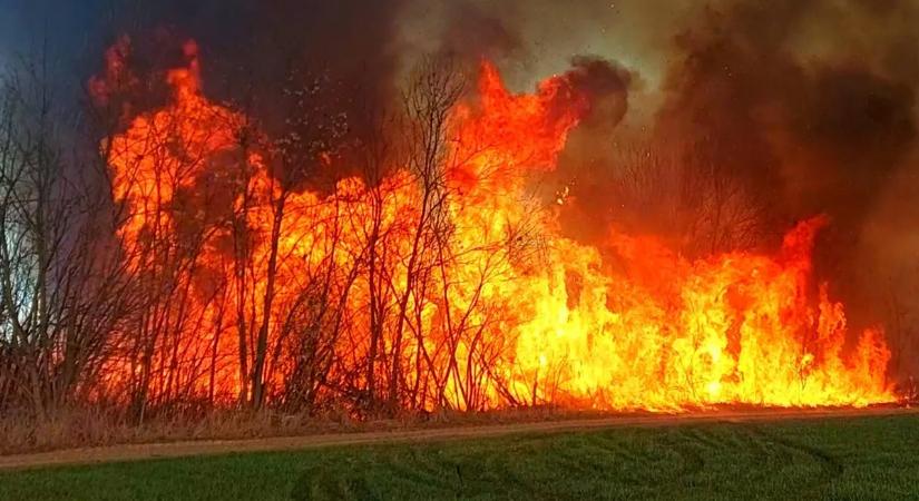 Hatalmas lángok csaptak fel a Tisza-tónál: tíz hektáron égett a nádas Egyeknél – videóval