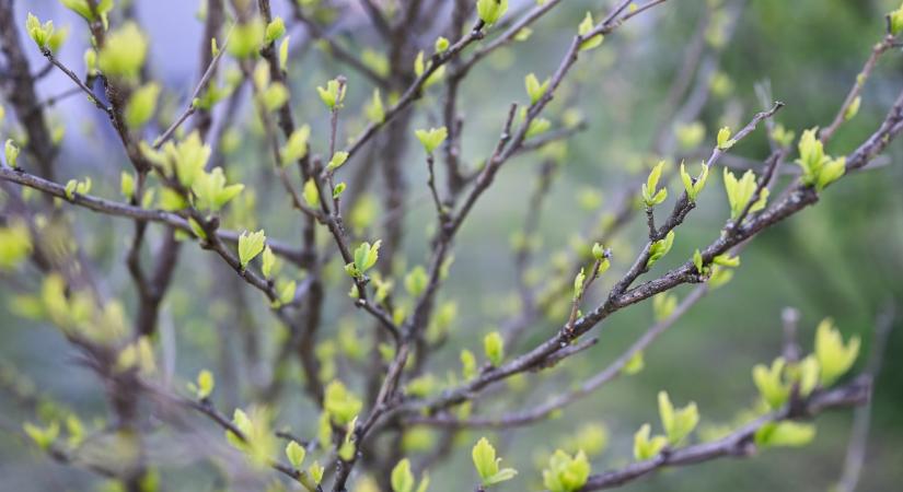 Változik az időjárás, kissé visszaesik a hőmérséklet a jövő hét elején