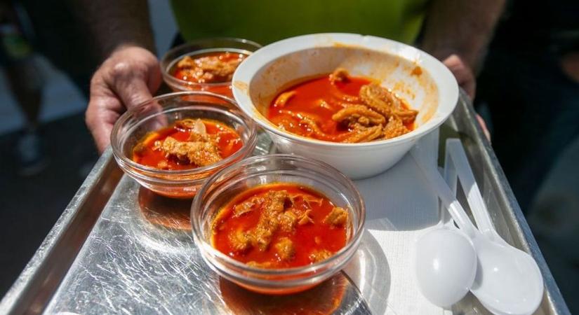 Spenót, pacal vagy szalontüdő? Megkérdeztük olvasóinkat, melyik a legrosszabb magyar étel – meglepő válaszok érkeztek