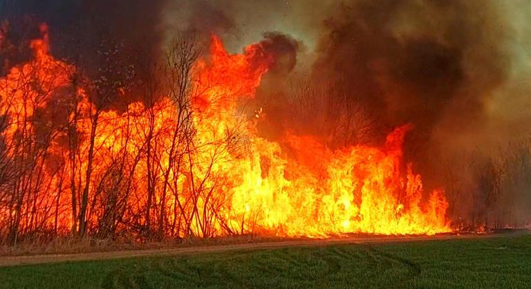 Hatalmas lángokkal égett a nádas-bozótos Egyeken