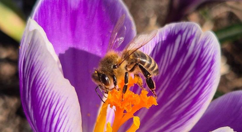 Szeszélyes fordulatot tartogat a hétfő: mire készüljünk Borsodban?