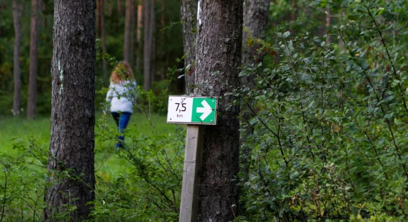 Kirándulás közben vizelne? Óvatosan, itt óriási bírságot kaphat