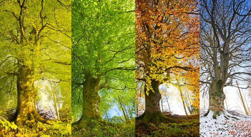 Megváltozott a piaci dinamika: soha nem lesz már igazi altcoin szezon