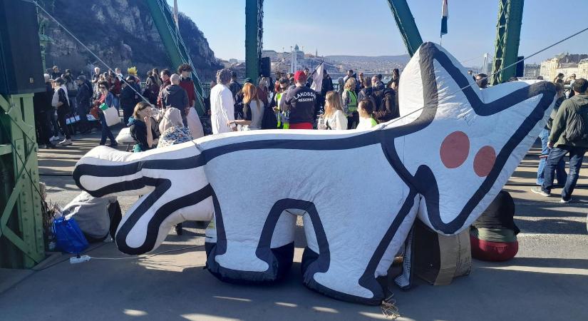 „Én azt mondom, hogy két X a kutyákra” – A Szabadság hídon ünnepeltek a kétfarkúak