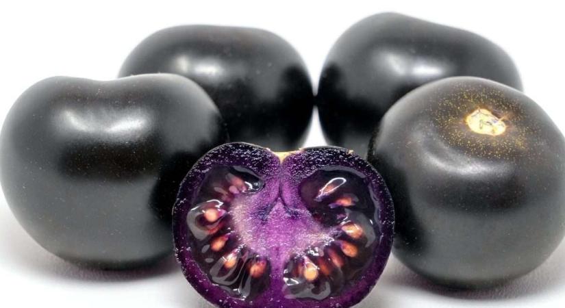 Lila paradicsom jöhet a boltokba: Ausztráliában indulhat a Purple Bliss bevezetése