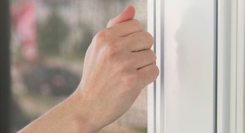 Az összes lakásba becsöngetnek, mindenkitől személyes adatokat kérnek