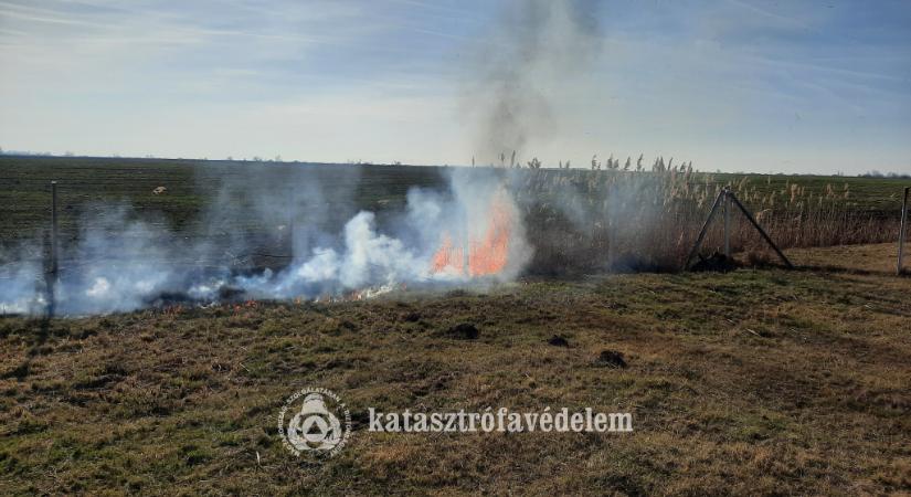 Tíz hektáron égett a nádas Egyek és Tiszafüred között