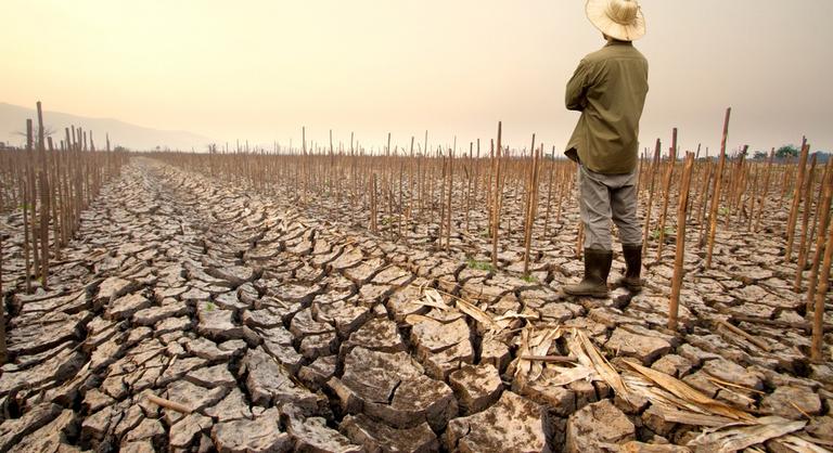 A GDP 14 százaléka is múlhat rajta - forintosíthatók a környzeti károk