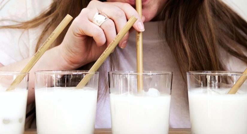 Nem a tehén, nem a kecske, nem a növényi: ez a legegészségesebb tej a szakemberek szerint