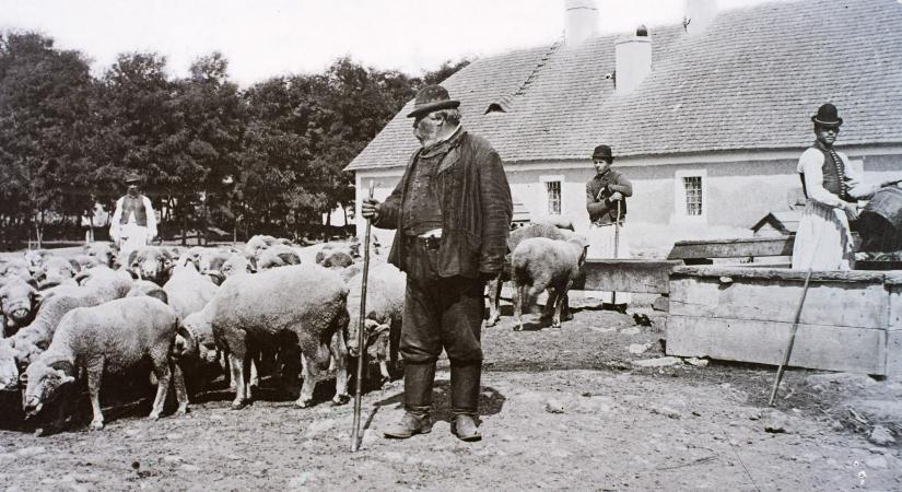 Kvíz: Mennyire vagy otthon a népi kultúrában?