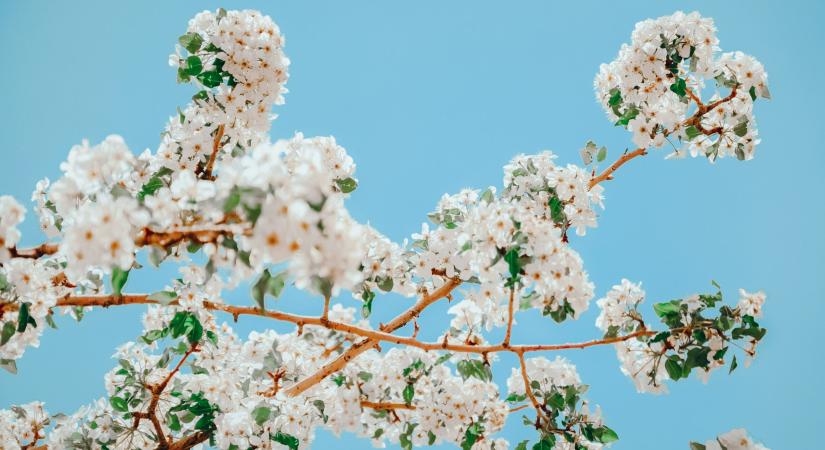 Napi horoszkóp – március 16., hétfő