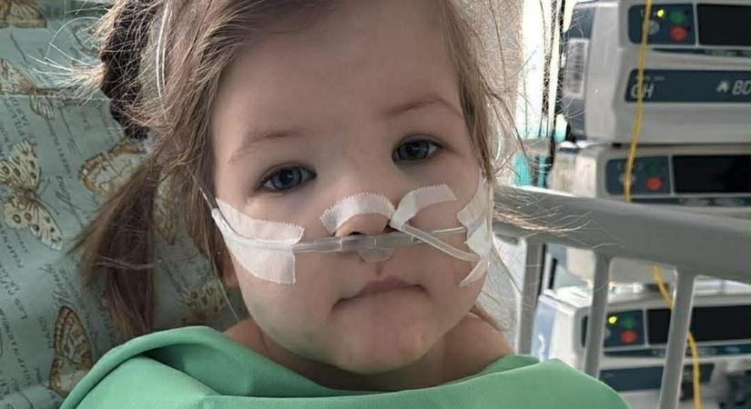 A kis Lilla az életéért harcol, most minden apró segítség számít a szolnoki családnak