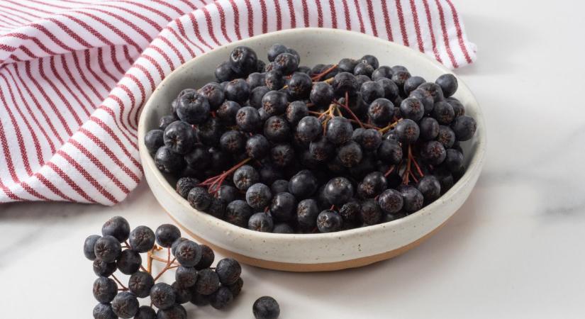 Fekete berkenye: ezért tartják az egyik legegészségesebb bogyós gyümölcsnek