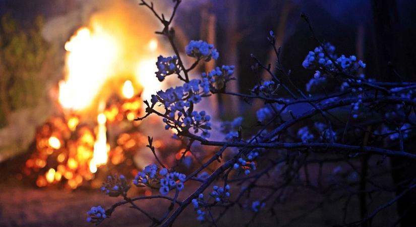 Kettős stratégia a fagykár ellen: így védi a gyümölcsfákat az új technológia és a kárenyhítési alap