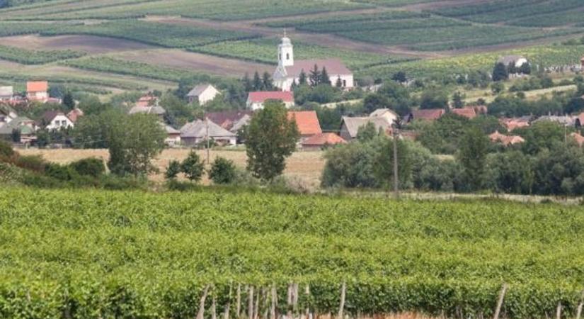Hihetetlen országos rekordkísérletre készül a kis hevesi falu
