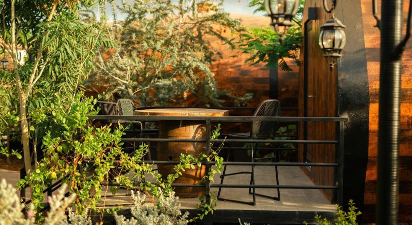 5 izgalmas színtrend a kertedbe – így csempészd be őket 2026-ban