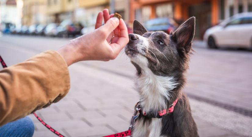 Jó piaci résnek tűnik