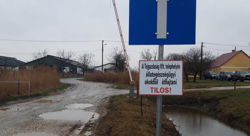 Kis magyar abszurd a Hortobágyon