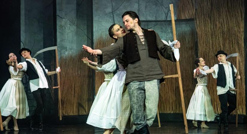 Öt napon át a kortárstáncé lesz a főszerep Miskolcon – Horizont Nemzetközi Kortárstánc Fesztivál 2026