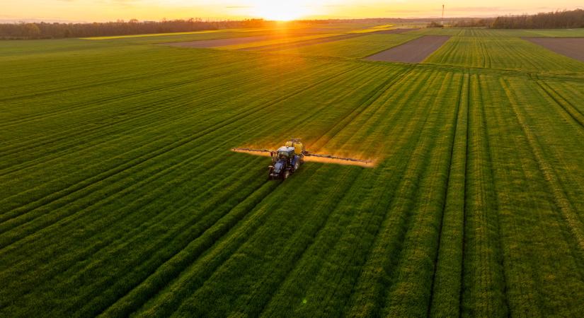Brutális ársokk éri el a magyar boltokat: minden termék drágul a háború miatt