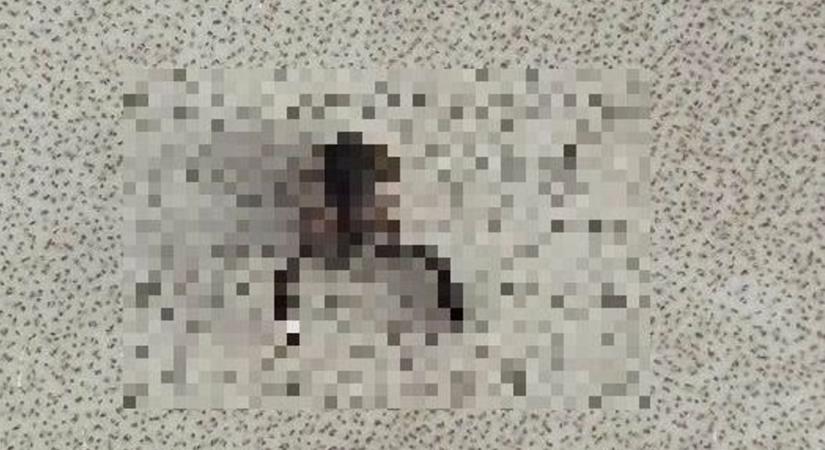 Téged is sokkolna a látvány, rémisztő állat jelent meg egy hajdú-bihari házban