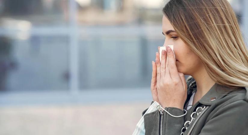Támadnak a pollenek: Mangó Gabriella, háziorvos nagyon meglepő dolgot mondott az allergiáról