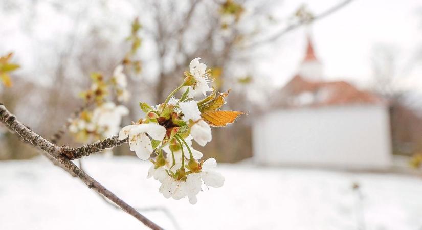Váratlan fordulat az időjárásban - Havas eső, kisebb havazás sem kizárt?