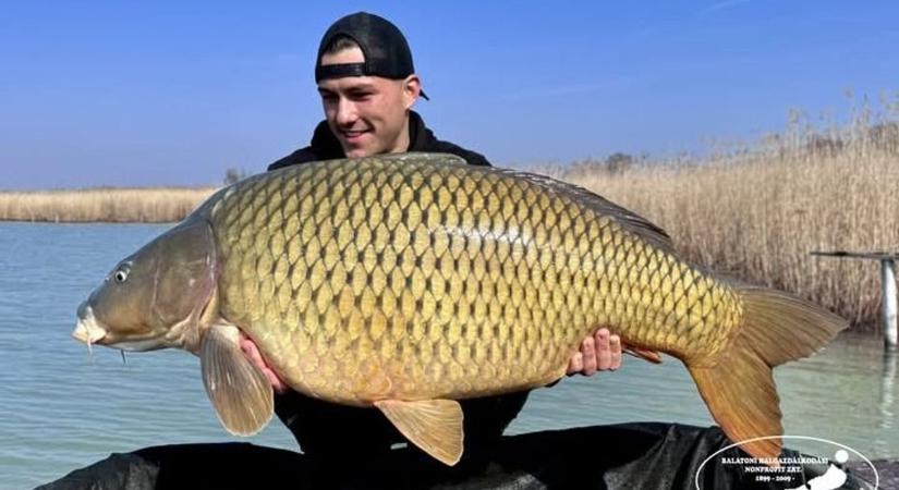 Óriási hal akadt horogra a Balatonon, büszkén mutatta meg a horgász