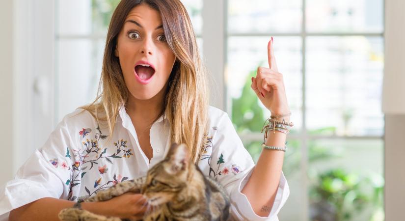 Te is beszélgetsz a macskáddal? Ne félj, nem őrültél meg, sőt!