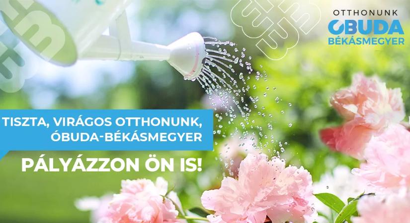 Meghirdetjük „Tiszta, virágos otthonunk, Óbuda-Békásmegyer” pályázatunkat – Március 16-tól várjuk a jelentkezéseket