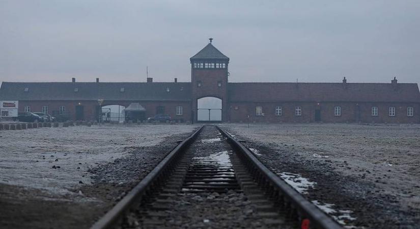 A magyar fiúk, akik élve kijutottak a gázkamrából: elolvastuk Michael Calvin és Naftali Schiff: Csoda című könyvét