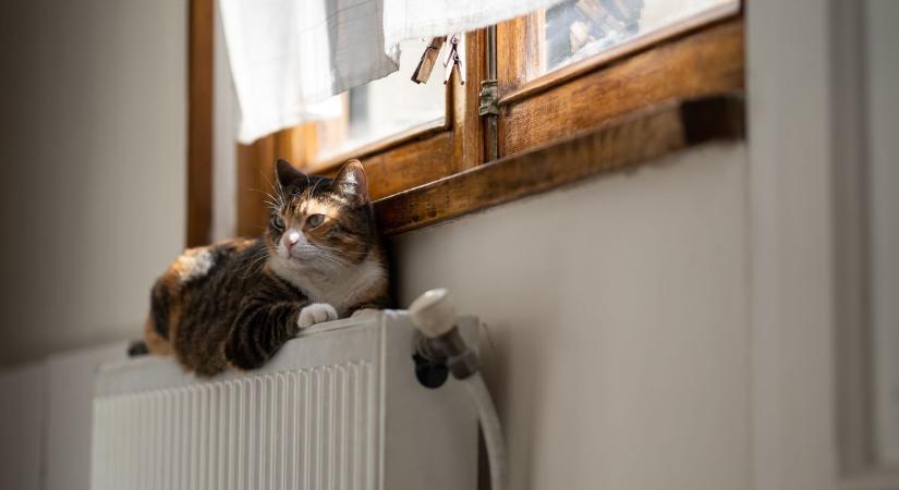 Reggel megfagytunk, nappal megsültünk: 20 foknál nagyobb hőingást mértek