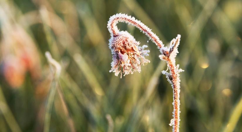 Durva időjárási kilengés rázta meg az országot: több mint 20 fokot ugrott a hőmérséklet egyetlen nap alatt