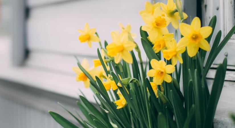 Fordulatot vesz az időjárás, ezt még az is megérzi, aki nem frontérzékeny