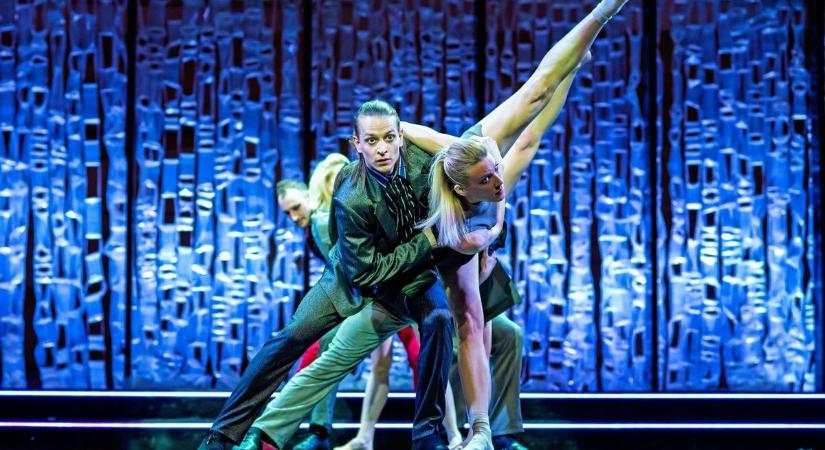 Olvasóink megszavazták: Ő lett az Év embere Baranyában!