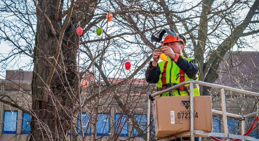 Ez igen! Tojásfák lepték el ezt a települést! (képgaléria)