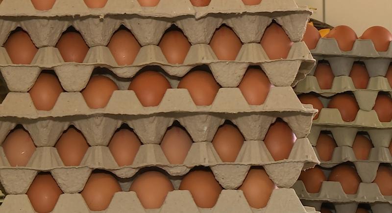 Nem drágult a tojás