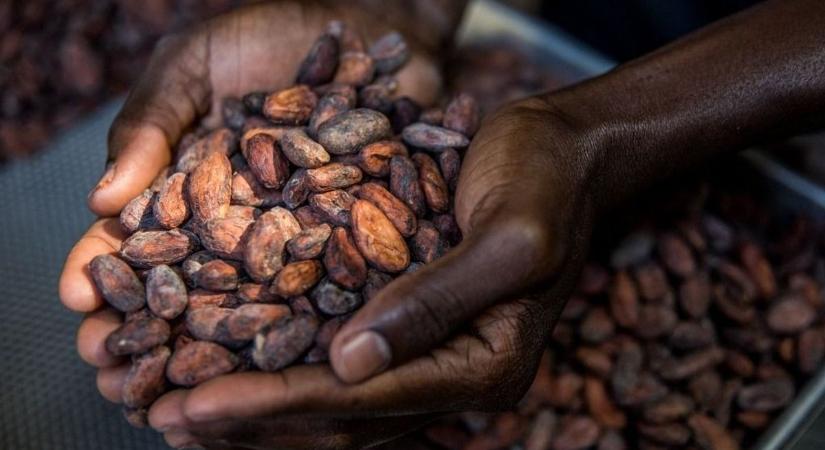 Lassan luxus lesz az édességfogyasztás: aranyárban mérik a legnépszerűbb élelmiszert