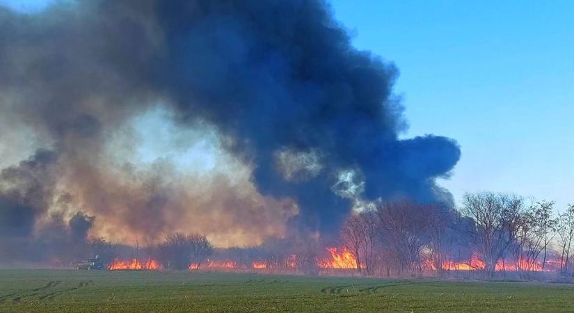 Hatalmas lángok csaptak fel Tiszafürednél, több hektáron égett a nádas – videóval