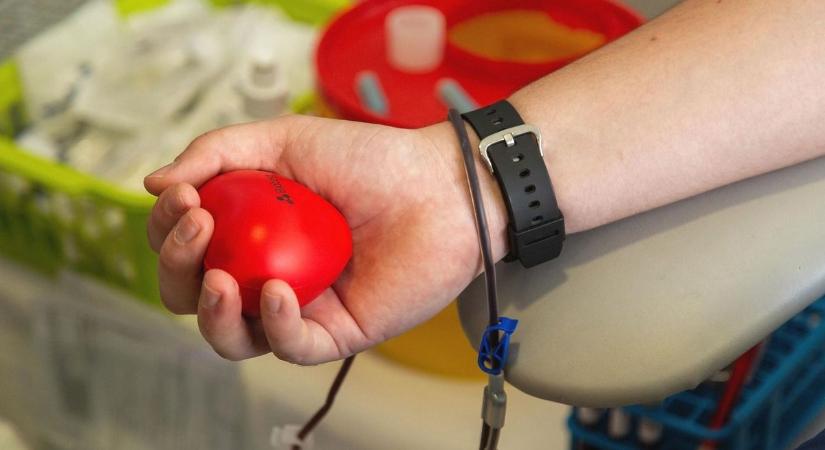 Fesztiválbelépőt érhet egy kis tűszúrás a TIK-ben