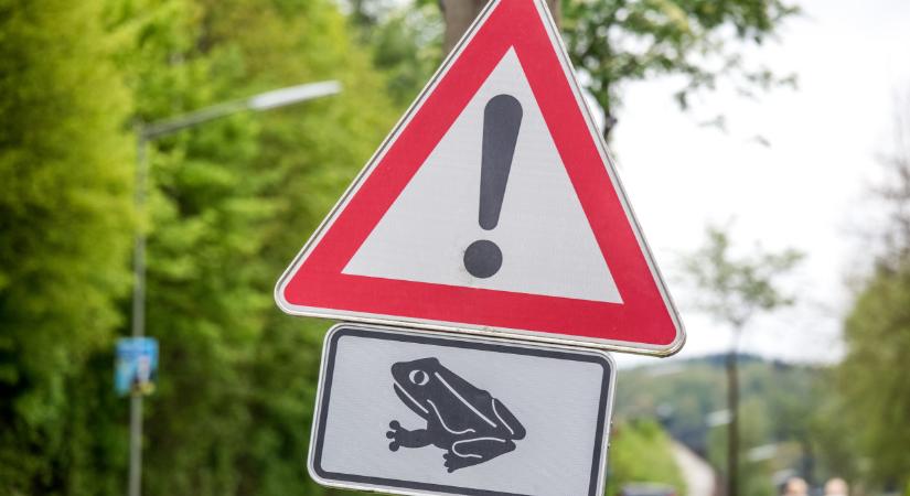 Halalmas békamenet zajlott vidéken is: még tart a számháború, de több ezer keltek útra