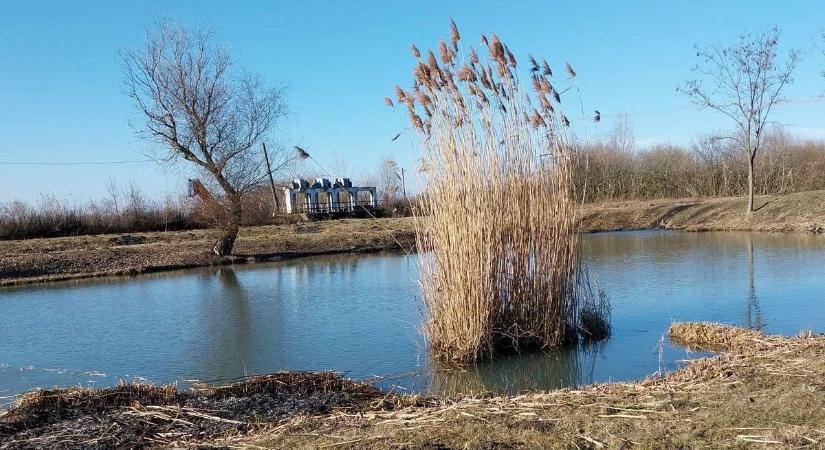 Horgász az ilyen? Drasztikus lépést tettek a hajdú-bihari tavon, szörnyű, mi derült ki az ellenőrzésen