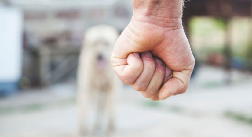 Pokoli állapotok Esztergomban: iszonyú, mit művelt éveken keresztül az állatkínzó a kutyákkal