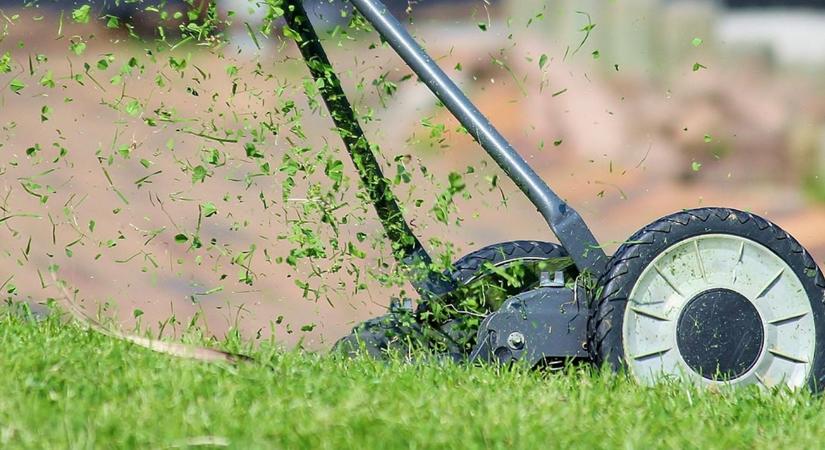 Egy apró hiba, ami teljesen tönkreteheti a gyepet