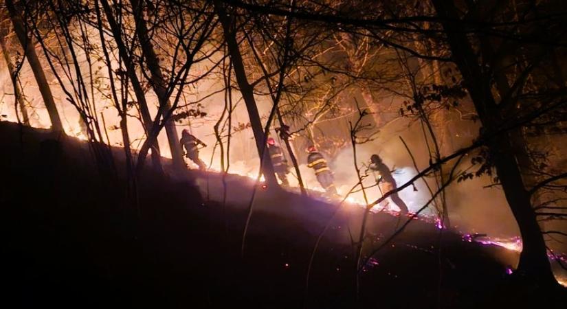 Tűzzel kaszálnak Háromszéken: tíz nap alatt 40 hektár borult lángba