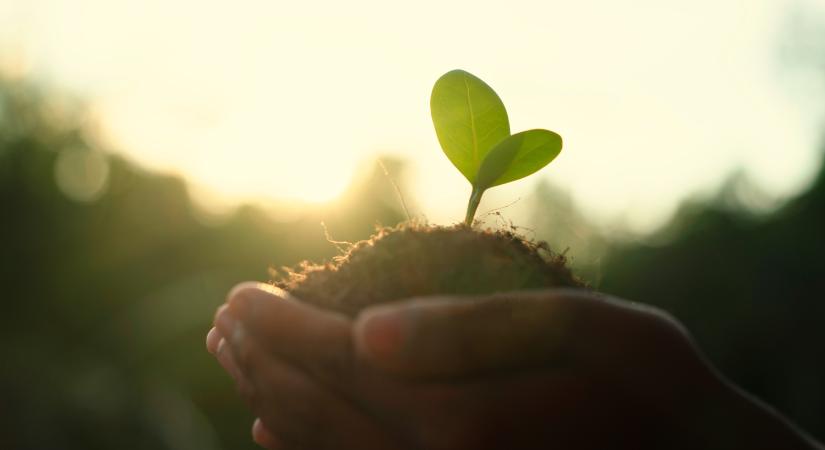 10 dolog, aminek az értékét csak akkor érezzük, ha elvesztettük: ideje hálásnak lenni