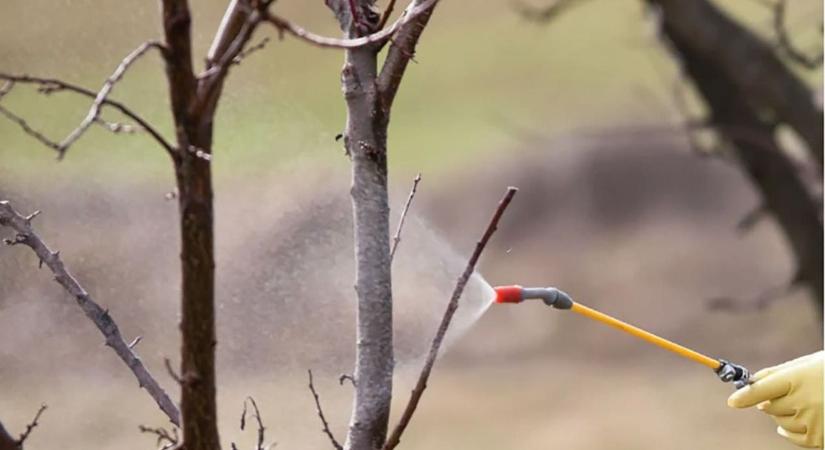 Megindult a természet: mikor metsszünk, permetezzünk?