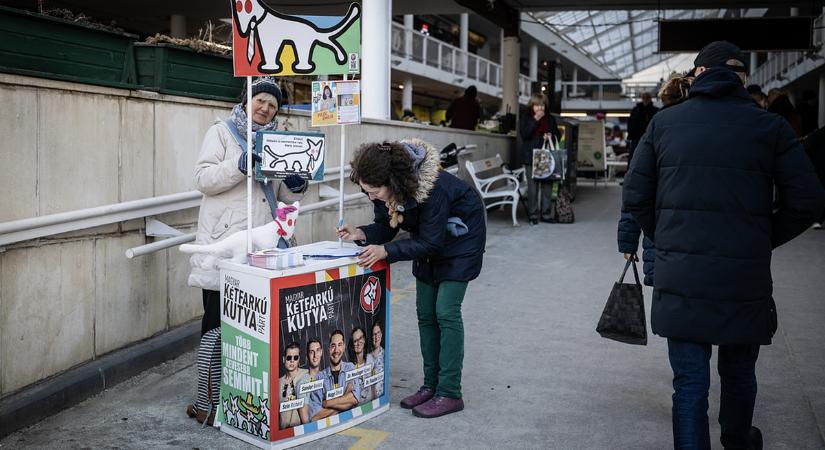 Végleg eldőlt: ez a párt is rajta lesz a szavazólapon áprilisban
