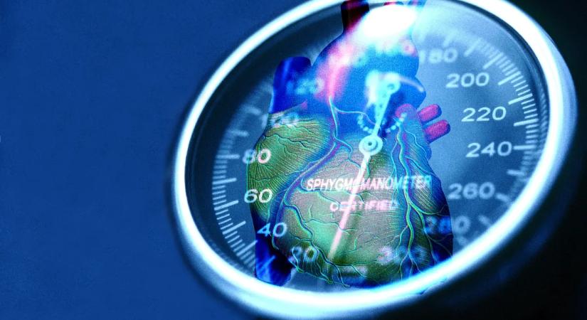 Megvan a magas vérnyomás kikapcsológombja? Kiderült, mi jelentheti a megoldást