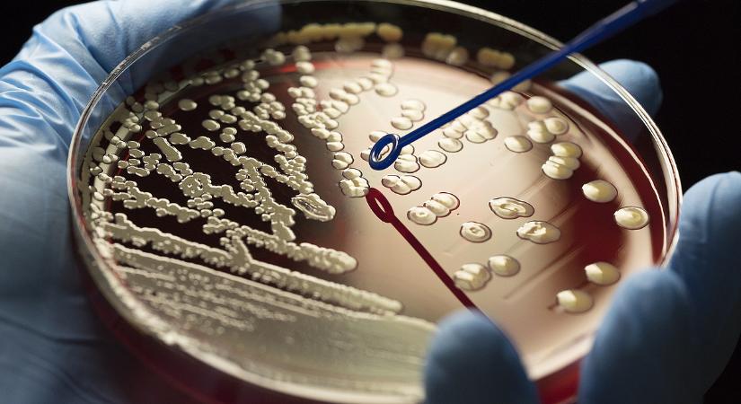 Új halálos betegség terjed a fiatalok között